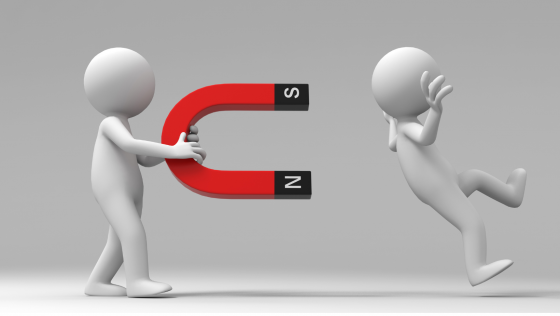 Curso de Biomagnetismo