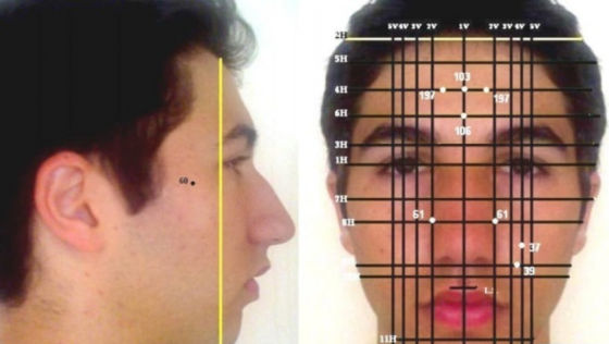 Curso Reflexología del Rostro