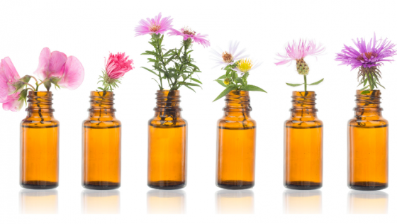 Curso de Flores de Bach